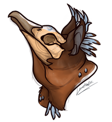 Strix headshot Strix headshot